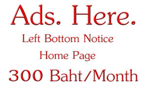 Left Bottom Home